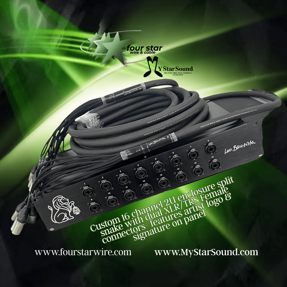 Custom 16 Channel 2U enclosure split snake with dual XLR/TRS female connectors with artists logo & signature on panel